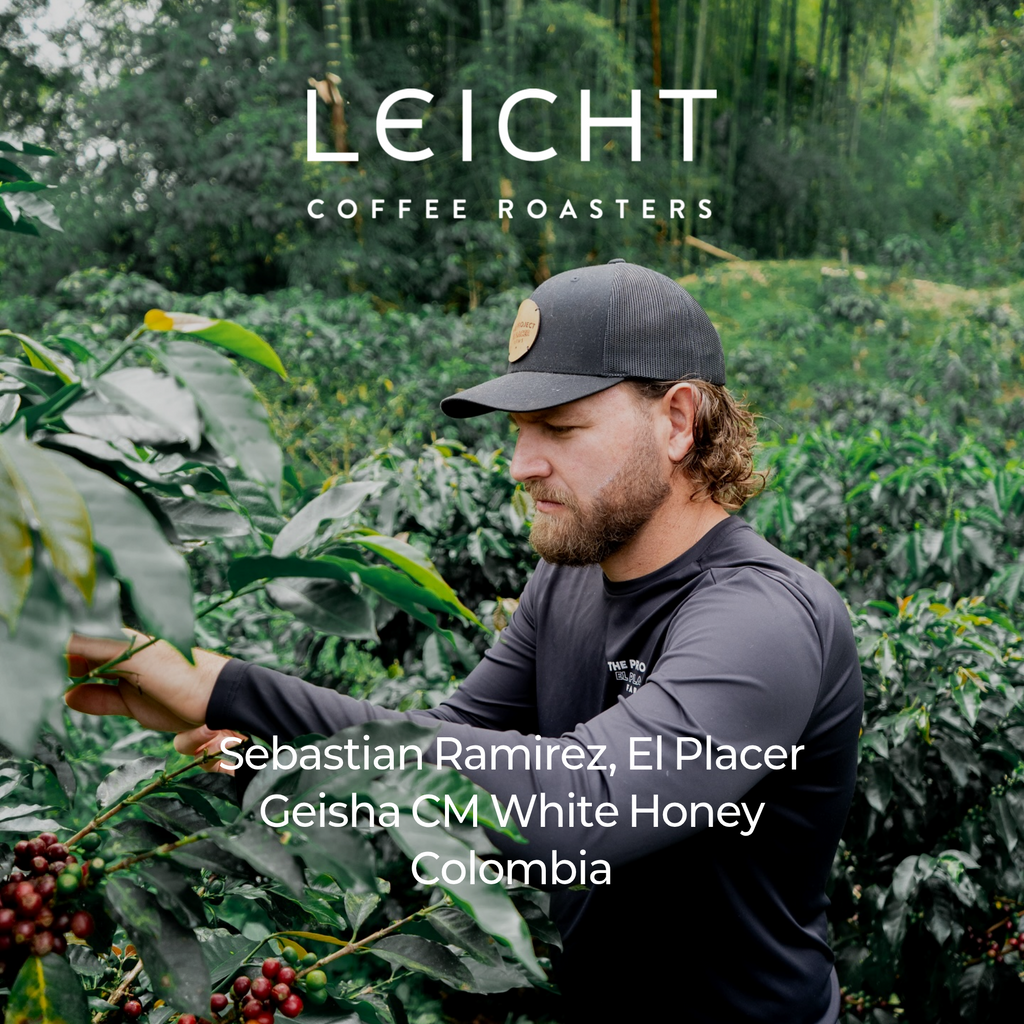 Colombia El Placer Geisha CM White Honey
