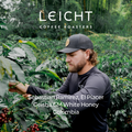Colombia El Placer Geisha CM White Honey
