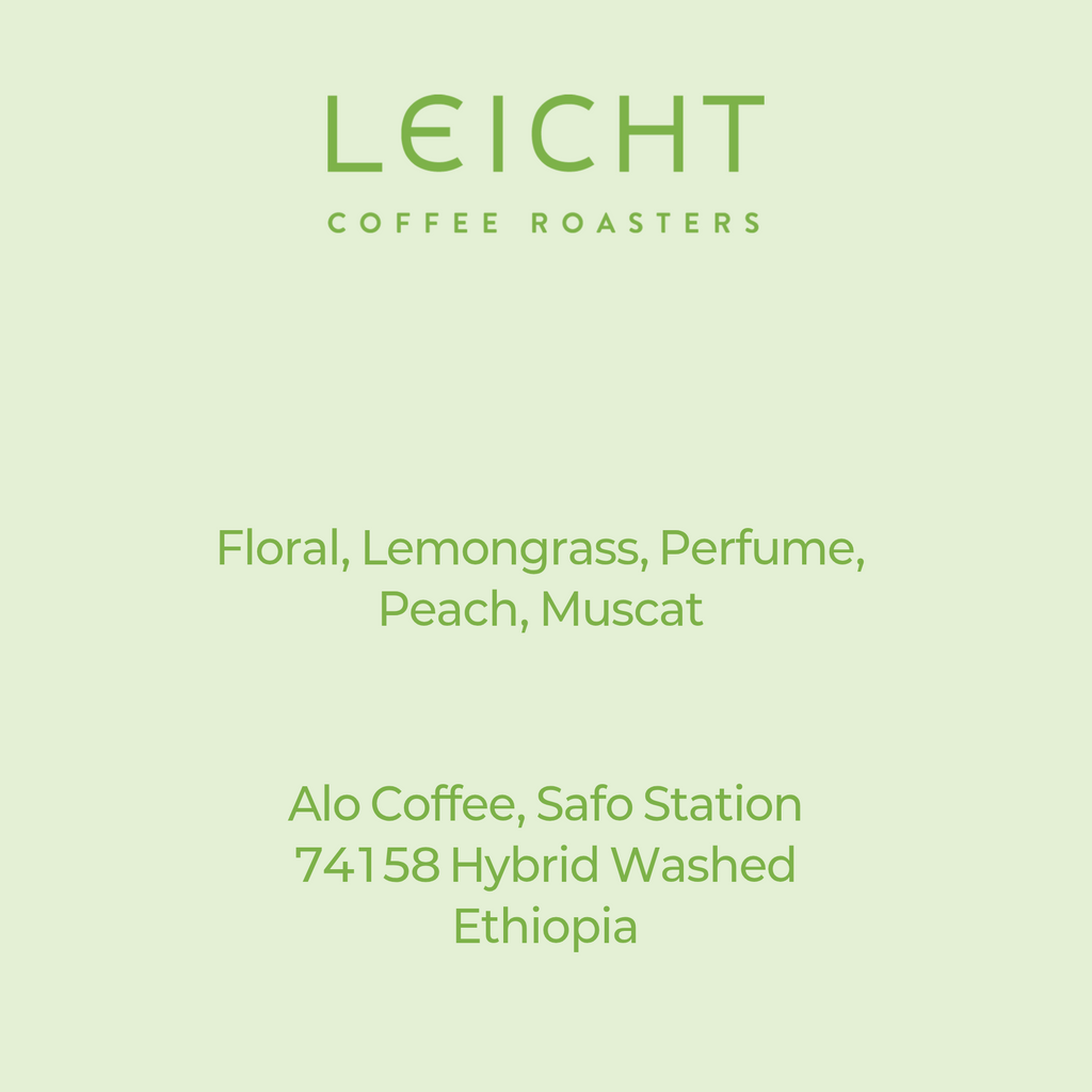 Ethiopia Sidama Alo Coffee 74158 Hybrid Washed