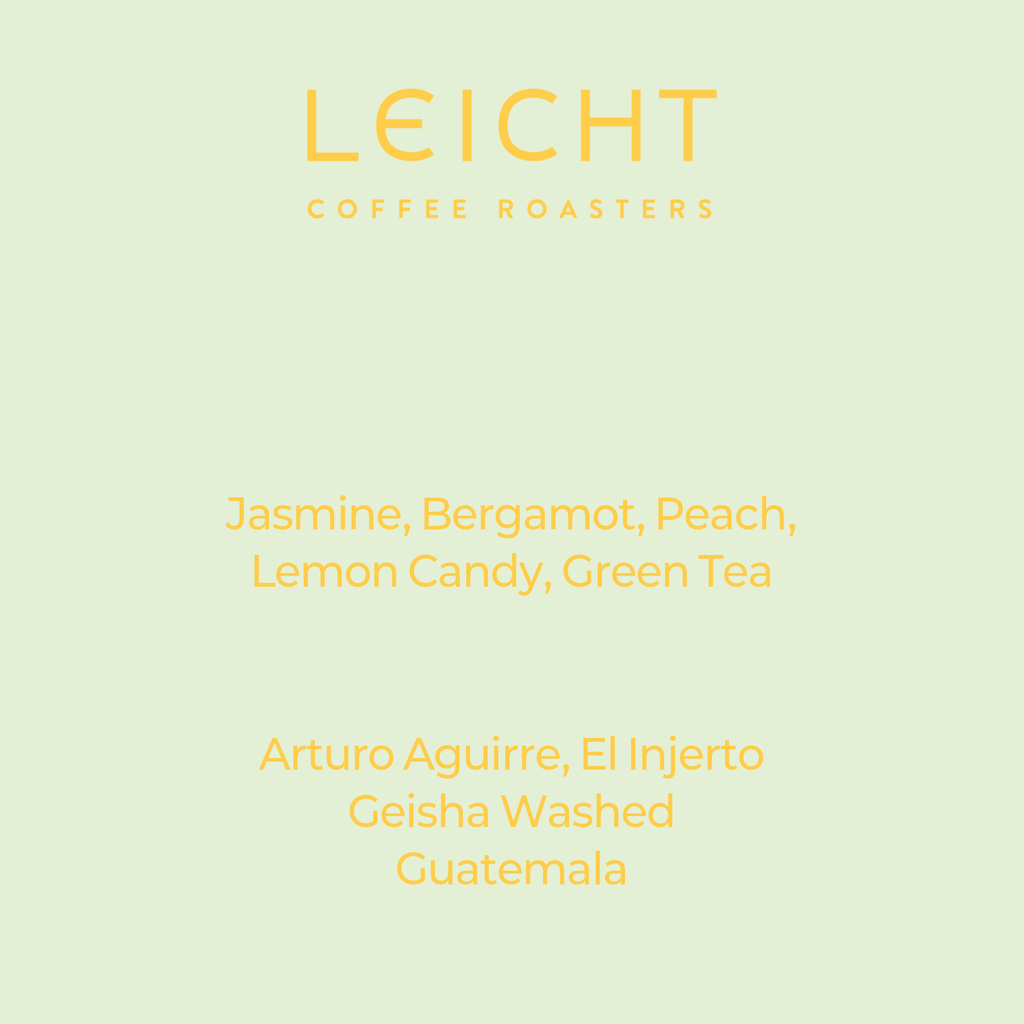 Guatemala El Injerto Geisha Washed