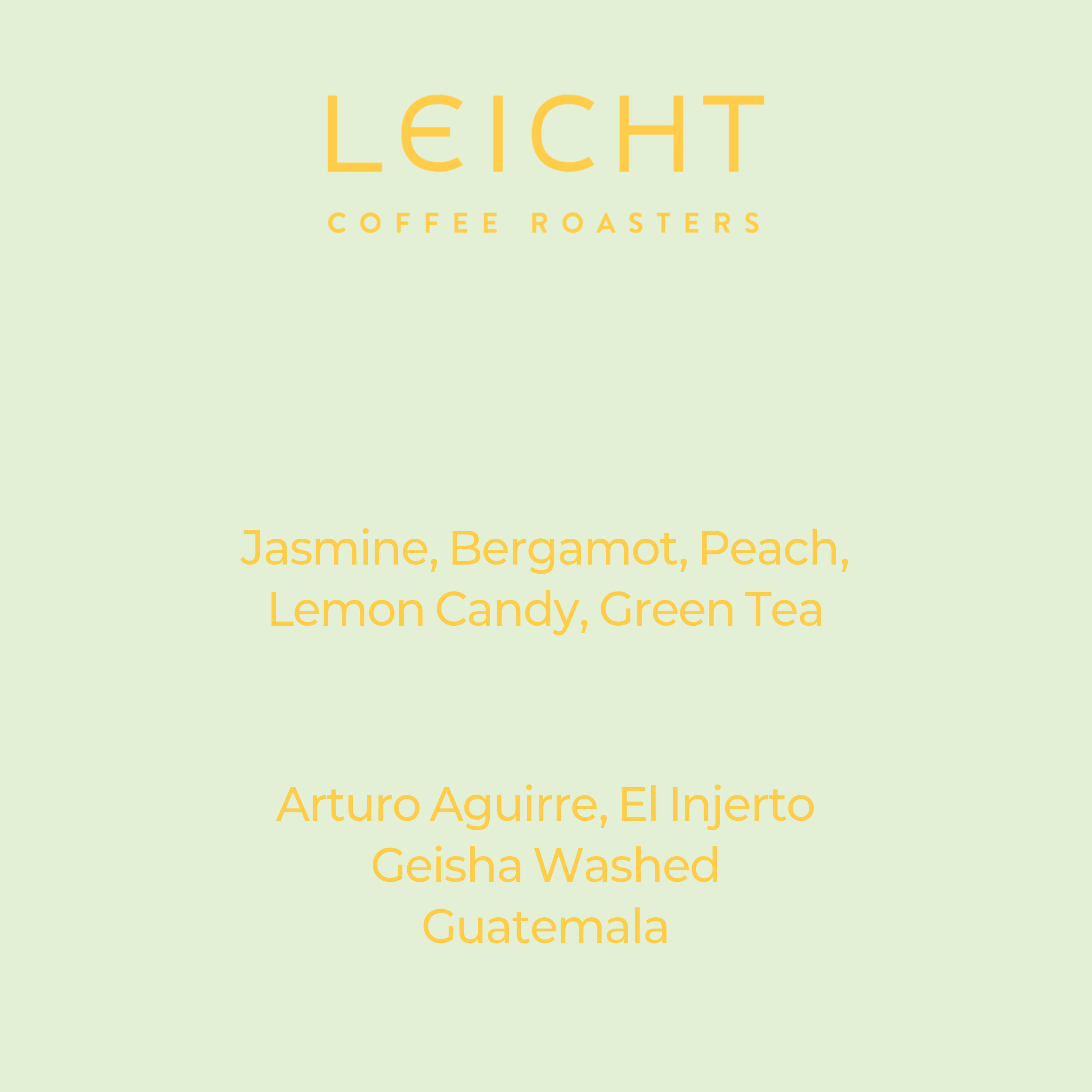 Guatemala El Injerto Geisha Washed