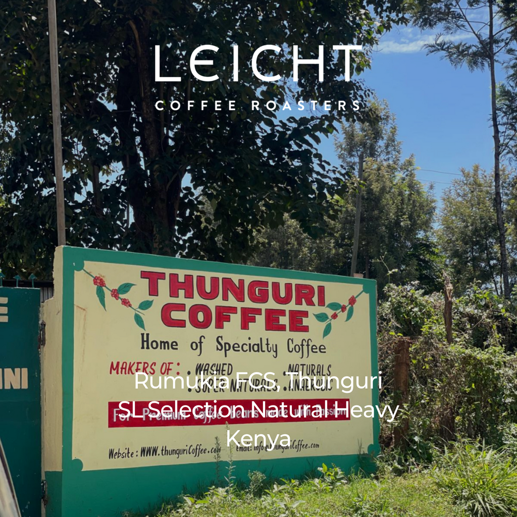 Kenya Thunguri SL Selection Natural Heavy