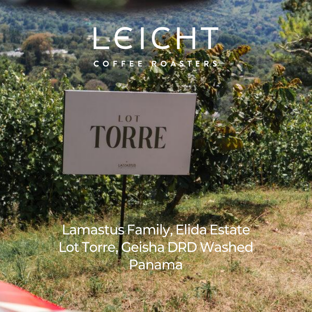 Panama Elida Lot Torre Geisha DRD Washed