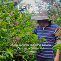 Colombia La Siria Geisha Lot.3 Washed