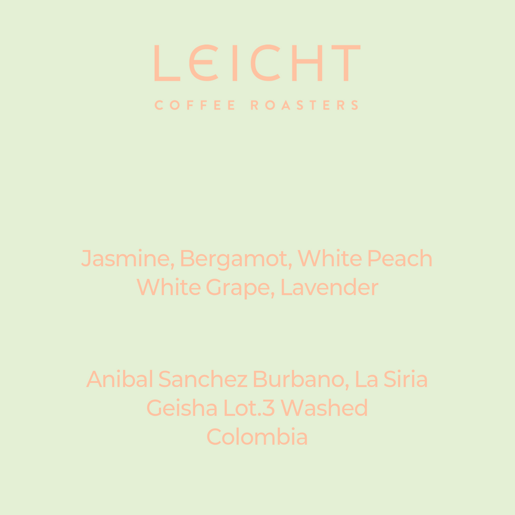 Colombia La Siria Geisha Lot.3 Washed
