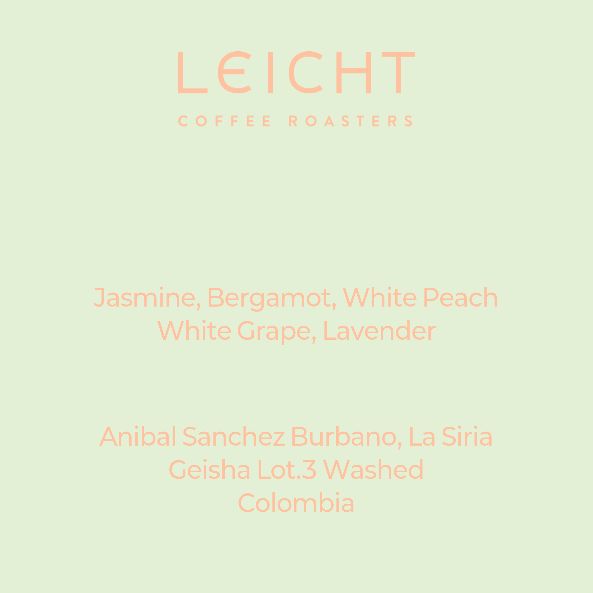 Colombia La Siria Geisha Lot.3 Washed