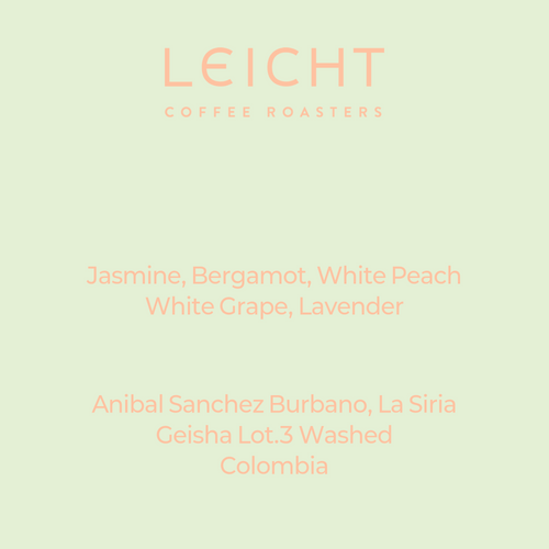 Colombia La Siria Geisha Lot.3 Washed