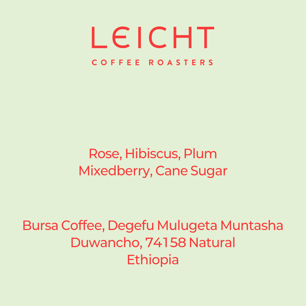 Ethiopia Sidama Degefu Mulugeta Duwancho 74158 Natural