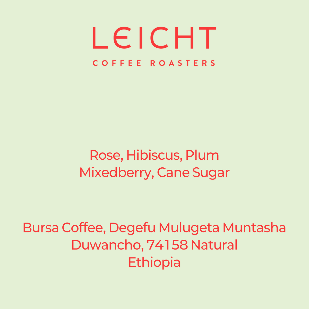 Ethiopia Sidama Degefu Mulugeta Duwancho 74158 Natural